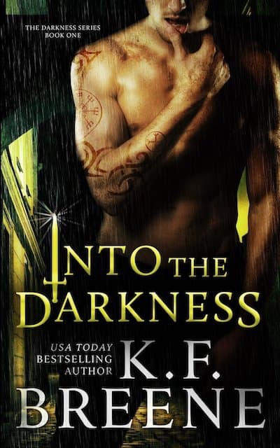 Book cover for Into the Darkness by K.F. Breene